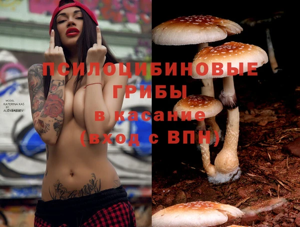 первитин Богданович