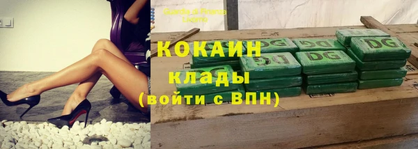твердый Богородицк