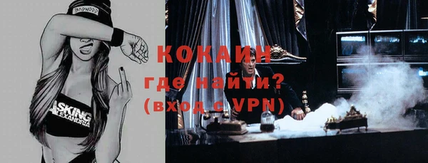 первитин Богданович