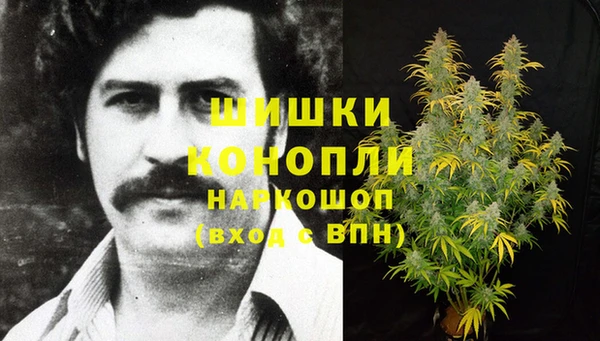 первитин Богданович