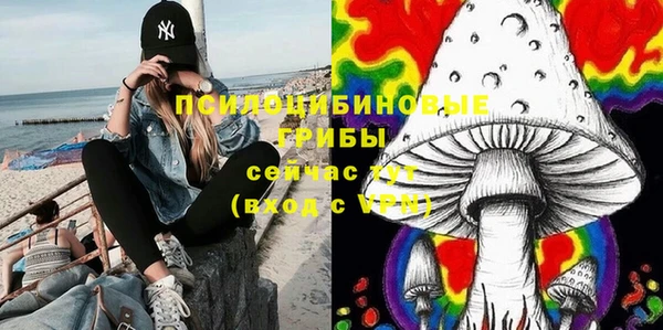 прущий лед Богородск