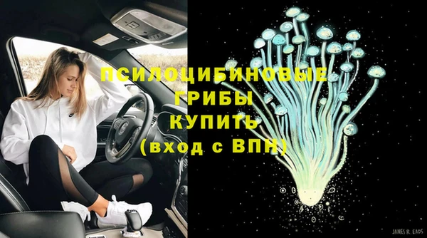 первитин Богданович