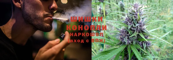 первитин Богданович