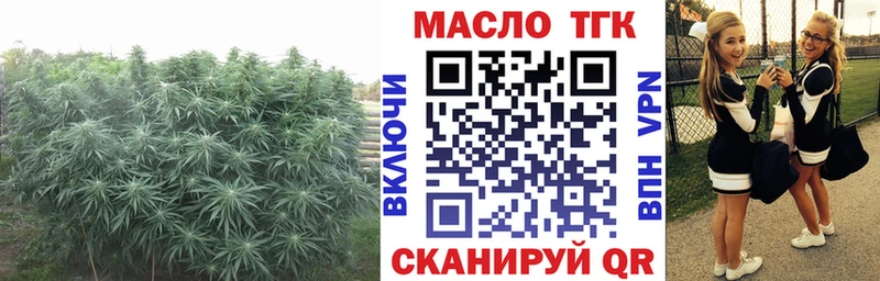ТГК вейп с тгк  наркота  Приволжский 