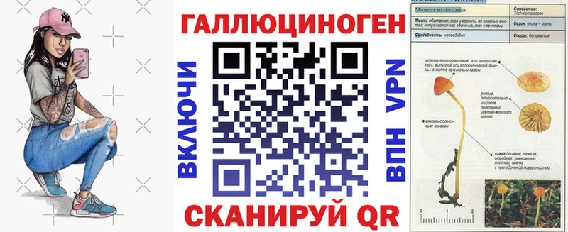 MEGA tor  Приволжский  Галлюциногенные грибы MAGIC MUSHROOMS 